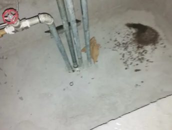 榆社卫生间测漏水价格明细